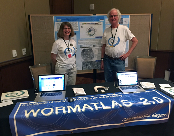 WormAtlas Booth Aging 2016